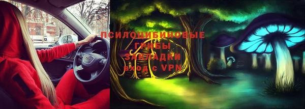 амф Магадан