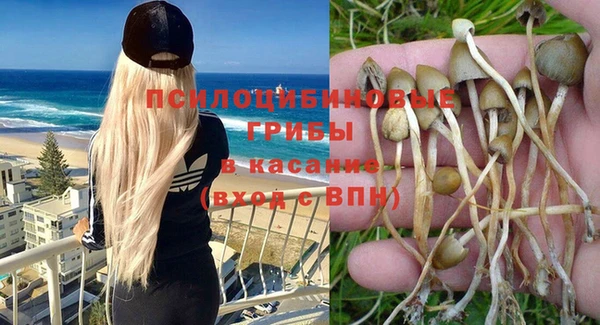 COCAINE Майский