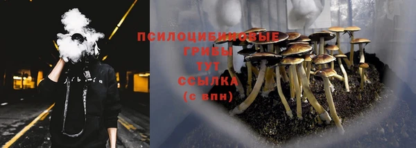 амф Магадан