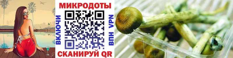 Псилоцибиновые грибы прущие грибы Пойковский