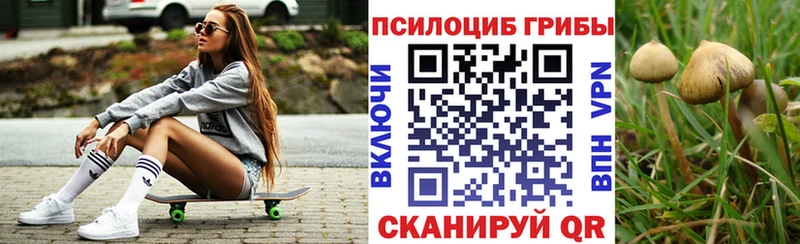 Псилоцибиновые грибы GOLDEN TEACHER  Пойковский 